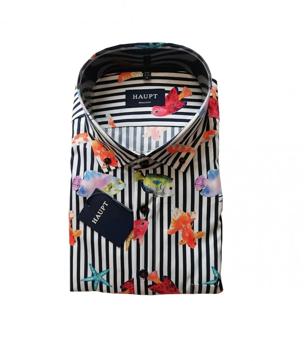 HAUPT FASHION CAMICIA CALIBRATA BUTTON DOWN UOMO TAGLIE FORTI