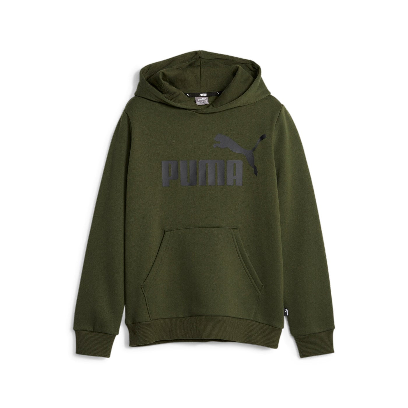 Puma Hoodie with large logo for boys Ess 586965-31 myrtle